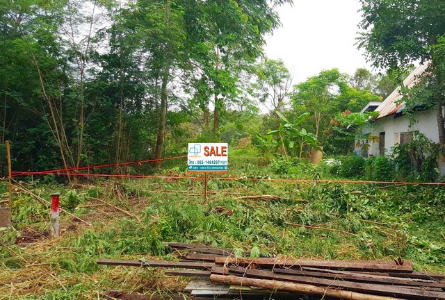 ที่ดินเปล่า ซอยคลองหกตะวันออก 98/1