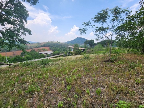 ที่ดินในโครงการพรีเมียม เขาใหญ่ วิวเขาสวย 360 องศา