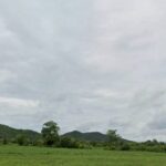 ขายถูกมาก ที่ดินแปลงใหญ่ วิวภูเขาชัดเจน ทำเลทอง อ.บ้านไร่ จ.อุทัย