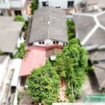 ลดราคา บ้านเดี่ยว สุขุมวิท 65 ซอยชัยพฤกษ์ ทำเลดี ใกล้ BTS เอกมัย