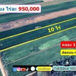 ไร่ละ 950,000 ที่ดินคลอง11 ลำลูกกา ขนาด 10 ไร่