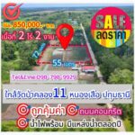 ที่ดินคลอง11 หนองเสือ ปทุมธานี 2 ไร่ 200 ตร.ว.