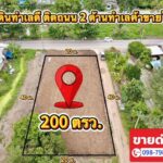 ที่ดินคลอง11 หนองเสือ ปทุมธานี ใกล้วัดป่าคลอง11