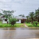 ที่ดิน 54 ไร่ 139 ตร.ว มีครบ! สวนยาง–สวนปาล์ม จ.สระแก้ว