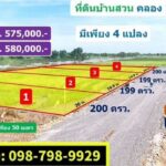 บ้านสวน วิวท้องนา ที่ดินคลอง10 รังสิต ปทุมธานี 200 ตรว.