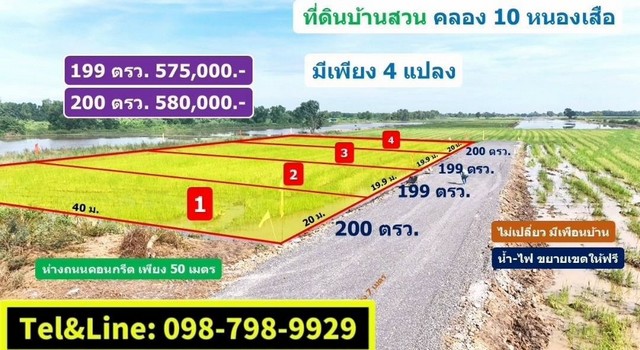 บ้านสวน วิวท้องนา ที่ดินคลอง10 รังสิต ปทุมธานี 200 ตรว.
