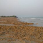 ขายด่วนที่ดินติดทะเล ตำบลบ่อนอก อำเภอเมืองประจวบคีรีขันธ์