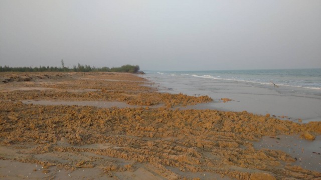 ขายด่วนที่ดินติดทะเล ตำบลบ่อนอก อำเภอเมืองประจวบคีรีขันธ์