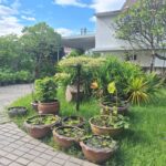 ขายที่ดินพร้อมบ้าน 2 หลัง หมู่บ้านเมืองเอก, ใกล้ตลาดสัมมากร