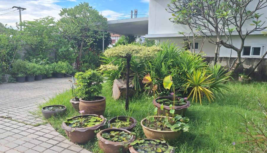 ขายที่ดินพร้อมบ้าน 2 หลัง หมู่บ้านเมืองเอก, ใกล้ตลาดสัมมากร