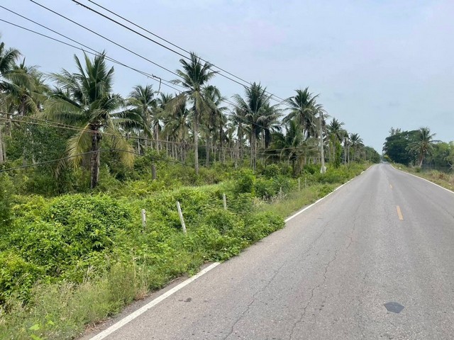 ขายที่ดินหนองเสือปทุมธานี เนื้อที่ 147-0-20 ไร่