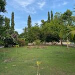 ขายที่ดินเปล่า ทำเลดี ติดถนน ตำบลฉลอง อำเภอเมือง จังหวัดภูเก็ต