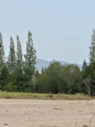 ขายที่ดิน เจ้าของขายเอง 5 ไร่ 87 ตารางวา