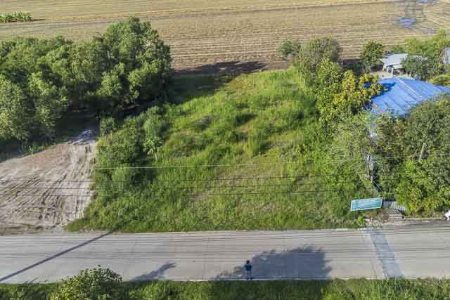 ที่ดินสีม่วง 197 ตรว. ใกล้ถนน 346 ลาดหลุมแก้ว ปทุมธานี