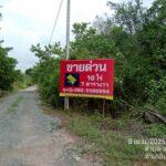 ขายที่ตราด ที่เปล่าแหลมกลัด..ที่ใกล้ทะเลติดคลองสนห่างจากทะเล100เม