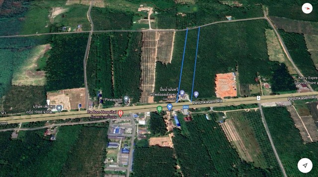 แปลงสวย ทำเลดีมาก ติดถ.เพชรเกษม มีต้นยางอายุ10ปี มีผู้เช่า(ปั๊มน้