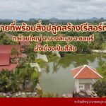 ขายที่ดินห้วยใหญ่เขาชีจรรย์พัทยา ที่ดินบางละมุงห้วยใหญ่ ที่ดินชลบ