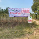 ขายที่ดินขนาด 1-3-44 ไร่ วิวแม่น้ำโขง ต.ผาตั้ง อ.สังคม จ.หนอง