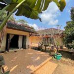 ขายด่วนสวนผลไม้ผสม 10-0-18 ไร่ แถมบ้านพัก ใกล้วัดเขาสุกิม จ.จัน