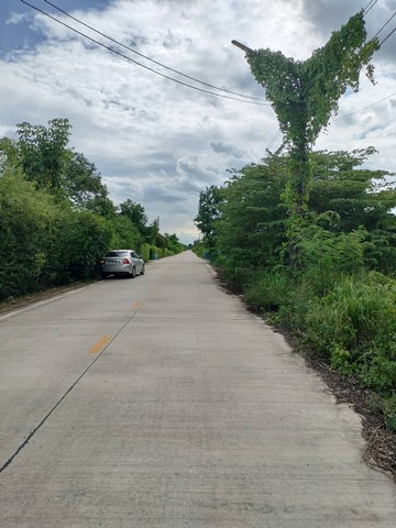 ขาย ที่ดินเปล่า เนื้อที่ 2 ไร่ ซ.บึงบอน 10 อ.หนองเสือ ปทุมธานี