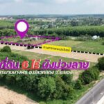 ขายที่ดิน 6 ไร่ ฟรีสิ่งปลูกสร้าง ผังม่วงลาย อ.ปลวกแดง จ.ระยอง