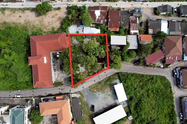 ขายที่ดินพัทยากลาง | ใกล้ถนนสายสุขุมวิท กว้าง 194 ม. บางละมุง ชล