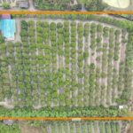 ที่ดิน พร้อมสิ่งปลูกสร้าง 9-3-60 ไร่ สามพราน นครปฐม