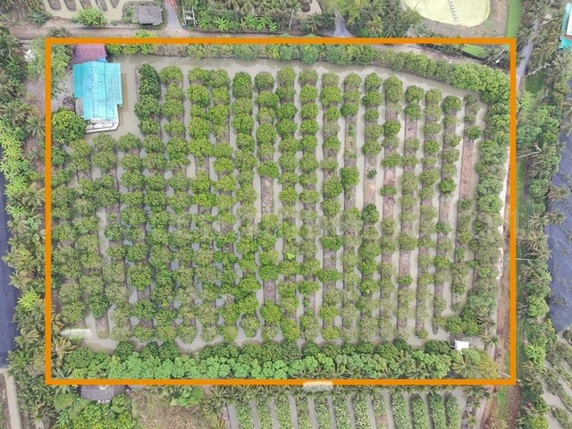 ที่ดิน พร้อมสิ่งปลูกสร้าง 9-3-60 ไร่ สามพราน นครปฐม