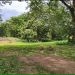 ที่ดินวิวภูเขา บ้านปง หางดง เชียงใหม่ บรรยากาศธรรมชาติ