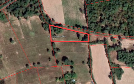 ที่ดินเปล่า 1-2-95.30 ไร่ ดอนยาวใหญ่ โนนแดง จ.นครราชสีมา