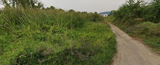 ขายที่ดินแปลงสวย ทำเลดี ย่านชุมชน กรุงเทพกรีฑา20