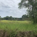 ขายที่ดิน2ไร่ ใกล้วัดหนองโรง หนองแค สระบุรี เจ้าของขายเอง