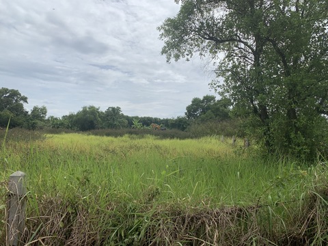 ขายที่ดิน2ไร่ ใกล้วัดหนองโรง หนองแค สระบุรี เจ้าของขายเอง