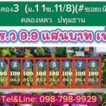 ที่ดินคลอง3 ม.11ซ.11/8 ซอยเนียรหอม คลองหลวง ปทุมธานี