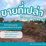 ขายที่ดินเปล่าบ้านดุงอุดรธานี ที่ดินนาคำอุดร ที่ดินหมู่บ้านดอนขี้