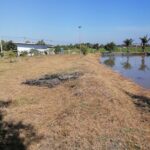 ขายที่ดินรูปสี่เหลี่ยมผืนผ้าสวย ใกล้คลอง 15 บึงน้ำรักษ์ ฉะเชิงเทร