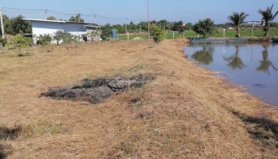 ขายที่ดินรูปสี่เหลี่ยมผืนผ้าสวย ใกล้คลอง 15 บึงน้ำรักษ์ ฉะเชิงเทร