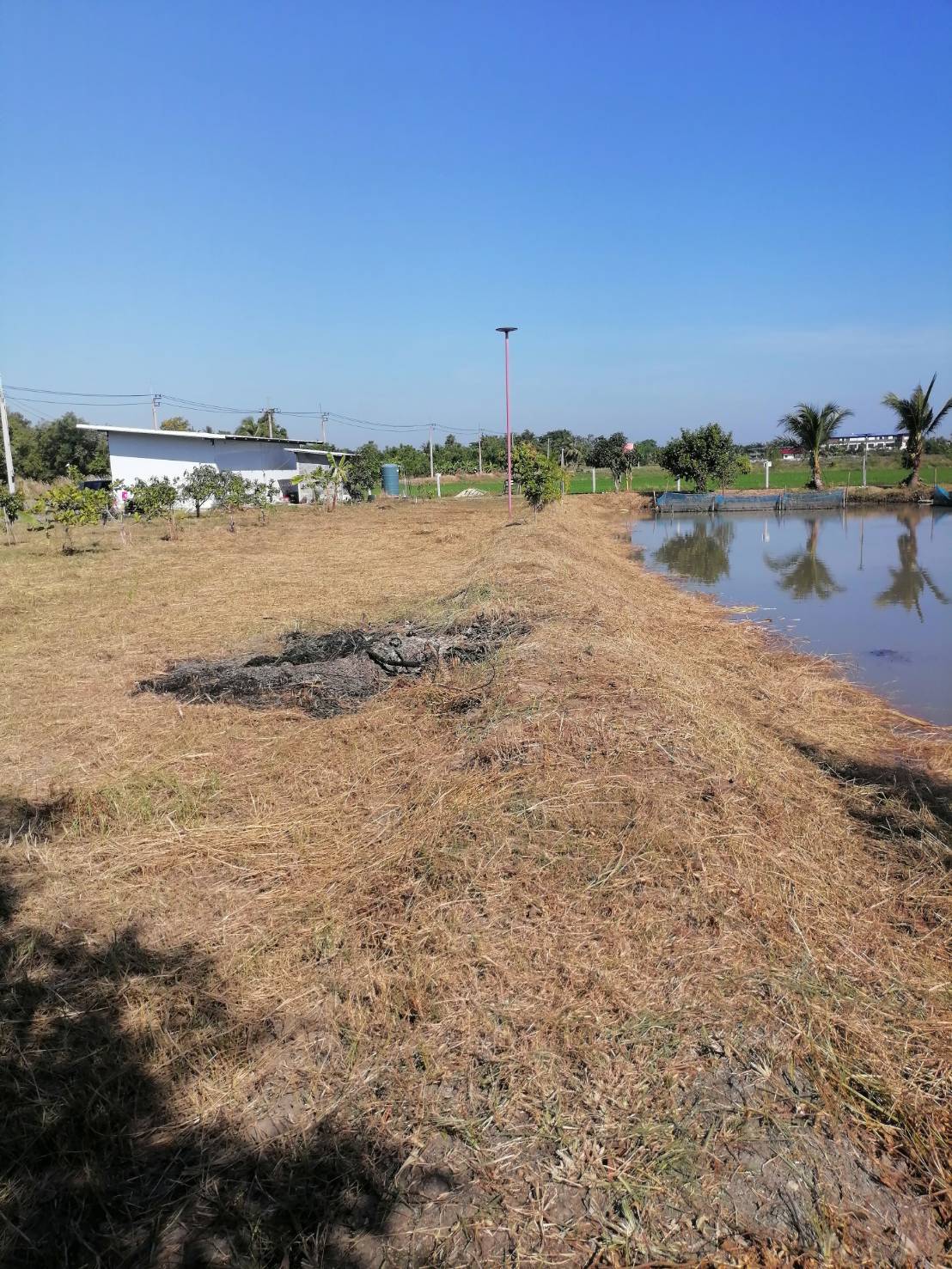 ขายที่ดินรูปสี่เหลี่ยมผืนผ้าสวย ใกล้คลอง 15 บึงน้ำรักษ์ ฉะเชิงเทร