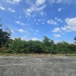 ขายที่ดิน คลองห้า คลองหลวง 2-0-41 ไร่ ใกล้ม.ราชมงคล ทำเลดี