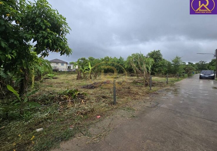 ขายที่ดินแบ่งขาย ใกล้วัดหลวงพ่อโสธร 100 ตารางวา เมืองฉะเชิงเทรา