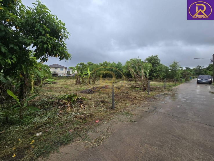 ขายที่ดินแบ่งขาย ใกล้วัดหลวงพ่อโสธร 100 ตารางวา เมืองฉะเชิงเทรา