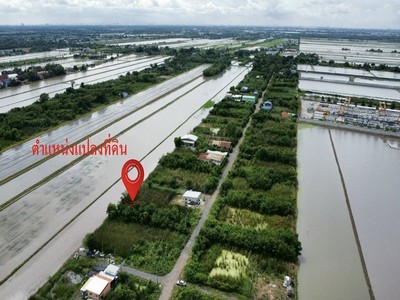 ที่ดิน 4 แปลงใหญ่ 241.6 ตร.วา ทำเลหนองจอกคลองสิบ เหมาะลงทุน