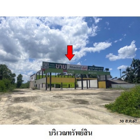 ขายโกดัง ถ.สายนครศรีธรรมราช-ปากพนัง ต.ท่าไร่ อเมือง จ.นครศรีธรรมร