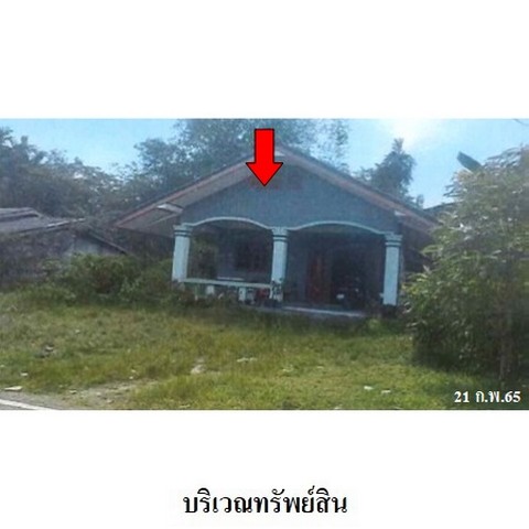 ขายบ้านเดี่ยว ถ.สายบ้านเกาะศพ-เกาะสัก ต.โคกทราย อ.ป่าบอน จ.พัทลุง
