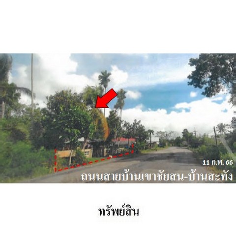 ขายบ้านเดี่ยว ถ.บ้านเขาชัยสน-บ้านสะทัง ต.เขาชัยสน อ.เขาชัยสน จ.พั