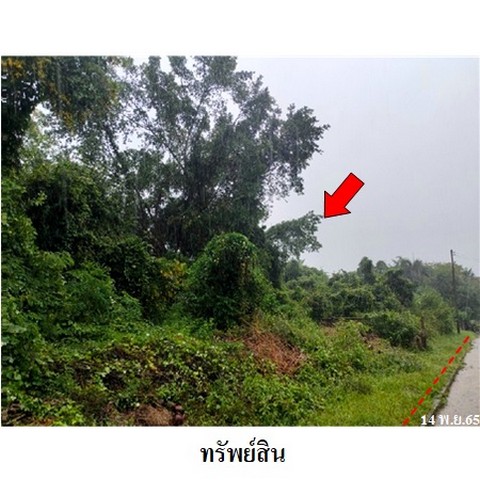 ขายที่ดินโครงการ ชวนชื่นนครินทร์ ต.น้ำน้อย อ.หาดใหญ่ สงขลา