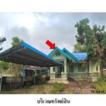 ขายบ้านเดี่ยว ต.ทุ่งตำเสา อำเภอ หาดใหญ่ จังหวัด สงขลา