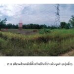 ขายที่ดินว่างเปล่ามือสอง อำเภอหนองเสือ ปทุมธานี