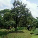 ขายบ้านเดี่ยว บ้านเดี่ยว หัวหิน