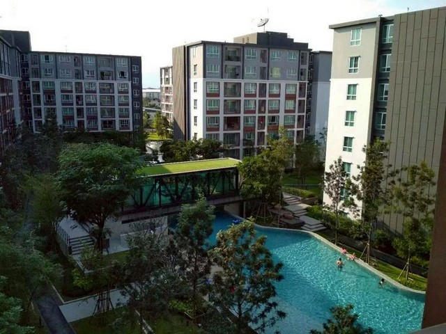 Dcondo Ping ขนาด 30 ตร.ม. วิวสระน้ำ ตกแต่งสวย